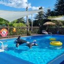 대청파크 이미지