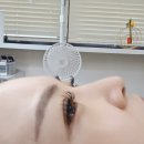 아린 아이래쉬