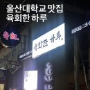 육회한 하루