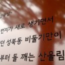 김광섭의 “성북동 비둘기” 이미지