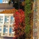 괴테부동산공인중개사사무소 이미지