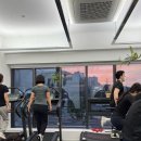 필라핏 156 이미지