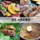 서귀포흑돈 | 서귀포 맛집 | 흑돈 숙성 흑돼지 제주고기집 솔직후기