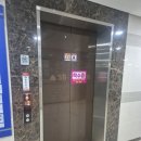 호수공원 미용실 동탄 미용실 예온헤어 채원 실장님 커트 & 염색 후기