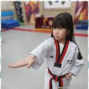 SK코리아태권도 이미지