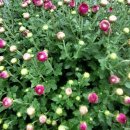 삼성환경 이미지