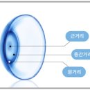 더글라스샵 이미지