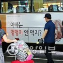 똘이문구