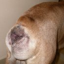 박물관옆동물병원 이미지