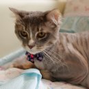 수피아동물병원 이미지