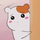 네일세상 이미지