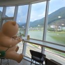 보현산댐 별빛전망대 이미지