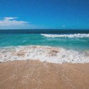 하이롤러 이미지