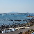 훈데르트바서파크 이미지