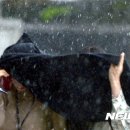 소나기 이미지