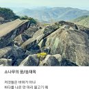 삼랑진 만어사 물고기 바위들/황동규 이미지