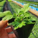 월명농장 이미지