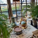 공주 프린세스 캠핑장 | 공주 야외정원 카페 추천, 프린세스 피크닉 카페 방문후기