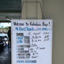 루우루우 | 하와이 스노쿨링 스팟 명소 추천, 빅아일랜드 카할루우 비치 파크