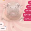 시온카써비스 | 내가1열이라니 ㅣ 251115 엔시티위시 히로시마 일투