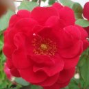 횃불농장 이미지