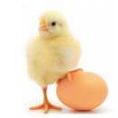 덕연농장 이미지