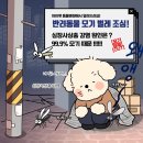 아이펫 동물병원 이미지