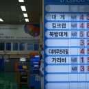 대게타운 이미지