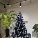 코너303 | 🌙🐾 내돈내산, 밤에 다녀온 강아지 카페 ‘모리네집’ 방문 후기