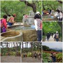 함양사과축제 &amp; 마천 지리산흑돼지축제 힐링버스여행 이미지