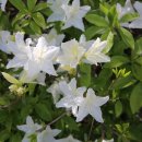 신풍근린공원 이미지