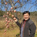 해도농장 이미지