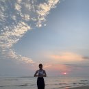 알라딘팜 이미지