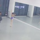 파랑새입시학원 이미지