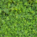 젊음과패기공원1 이미지