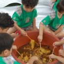 증평초등학교(병설유치원) 이미지