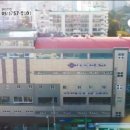 대영스포렉스 이미지