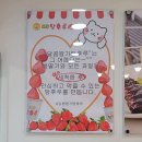 거제 왕가탕후루 유명한 탕후루 솔직후기
