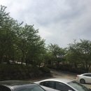 동일식육점 이미지