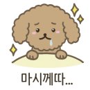 노랑콩두부 이미지