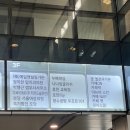정자역 눈썹 왁싱 내돈내산 후기 이뉴어스킨 피부관리&amp;왁싱
