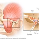 스마일365한의원 이미지