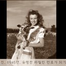 #1 희귀 역사 사진 / Rare historical photos 이미지