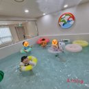 365일 물놀이가능 새로생긴! 수영장키즈카페] 메리스포레스트 마포창전숲