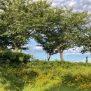 명인만두 목동이대병원점 이미지