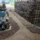 농부의 자연식 | 25년 7월 17일 목 40대 노총각 농부의 하루