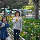 알파택시(주) 이미지