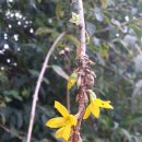 개양파출소 이미지