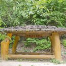 찬물내기 이미지