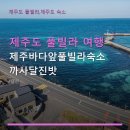 까사달진밧 | 제주도 풀빌라 여행 제주바다앞풀빌라숙소 까사달진밧 내돈내산 만족 후기, 가격은?